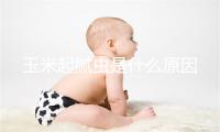 玉米起腻虫是什么原因