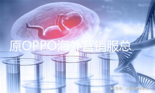 原OPPO海外营销服总裁张洲川入职大疆