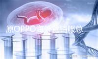 原OPPO海外营销服总裁张洲川入职大疆