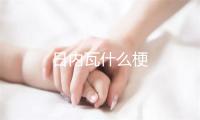 日内瓦什么梗