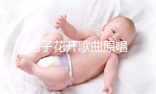 sod多少钱一盒