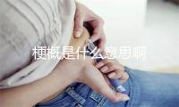 梗概是什么意思啊