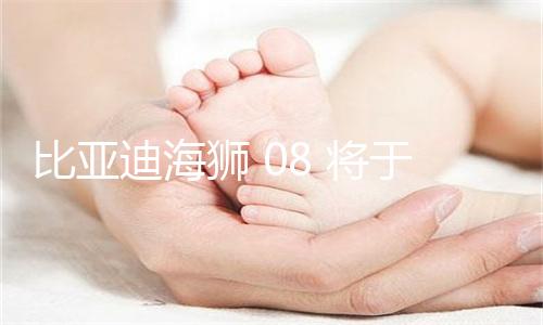 比亚迪海狮 08 将于 9 月 2 日上市,预售价区间 23 万 ~28 万元