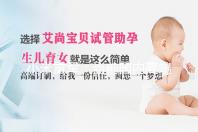 小米雷军：当前国内高端汽车市场处于产品青黄不接状态，高端零部件国产替代预估需要 5~10 年