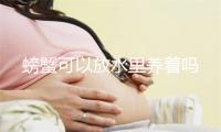 螃蟹可以放水里养着吗