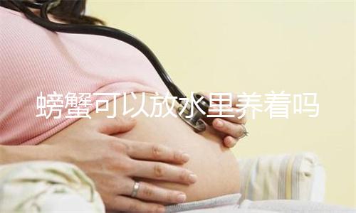 昏睡红茶是什么梗